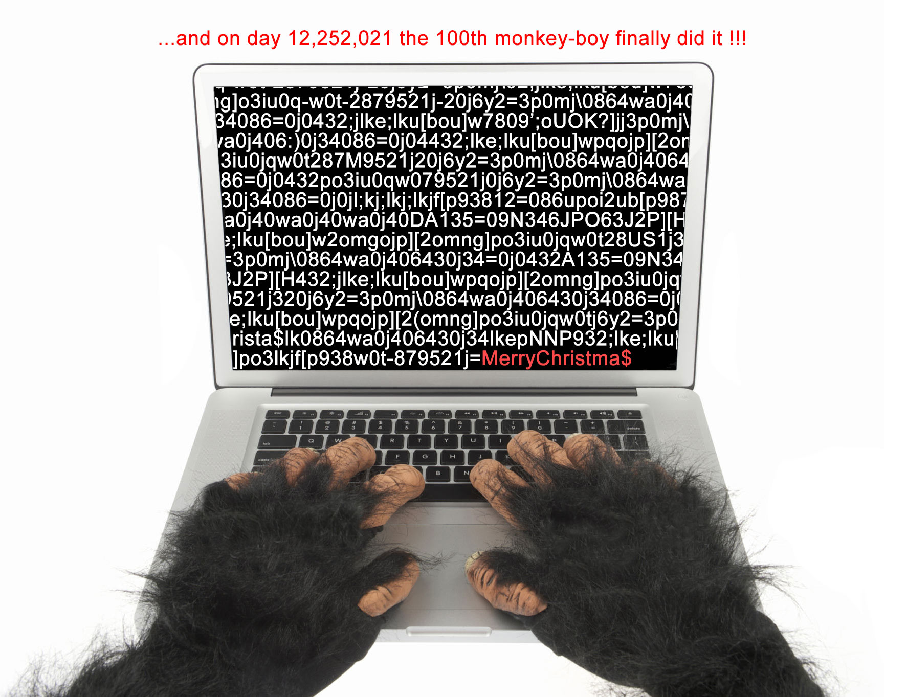 100th Monkey-Boy.